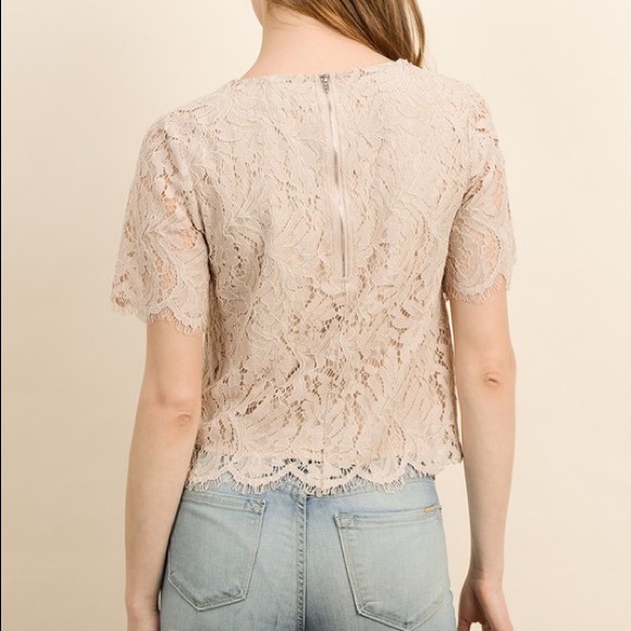 Lace top - Blush - Picture 3 of 3